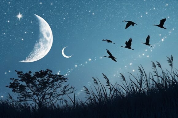 Download Birds and Moon Background Design - Design Collection